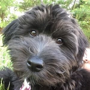 Meet your Posher, Katrina